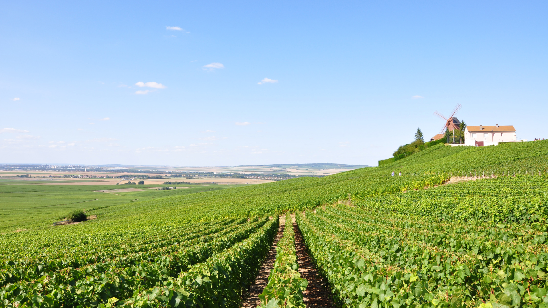 Champagne : Un pour tous, tous pour un ? Champagne : Un pour tous, tous pour un ?