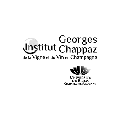 Institut Georges Chappaz - Gestion de projets Institut Georges Chappaz - Gestion de projets